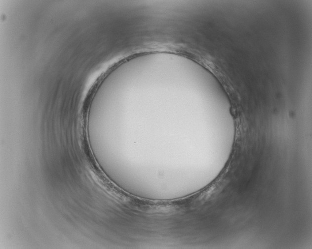 X0000052540342200507291856