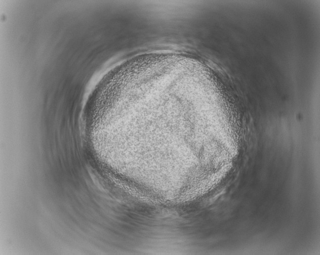 X0000052540343200507291856