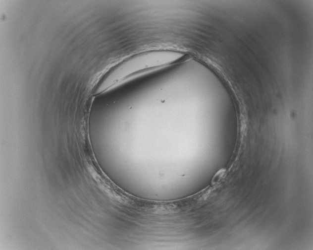 X0000052540345200507291856