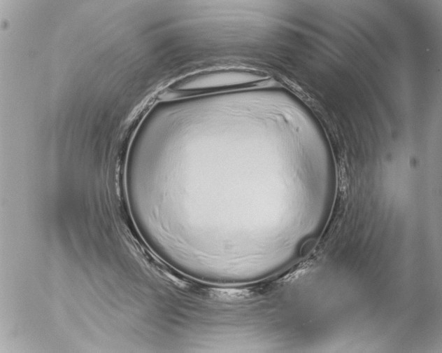 X0000052540347200507291856