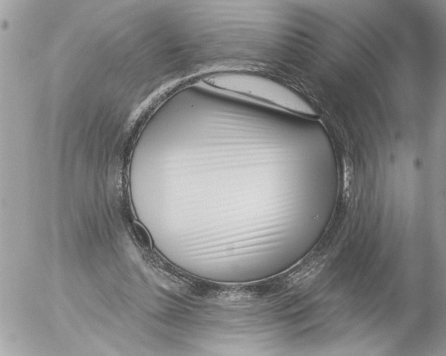 X0000052540348200507291856