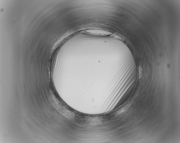 X0000052540349200507291856