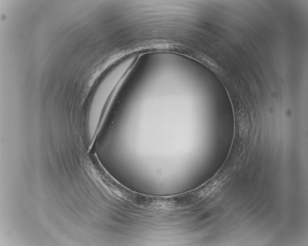 X0000052540350200507291856