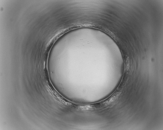 X0000052540351200507291856