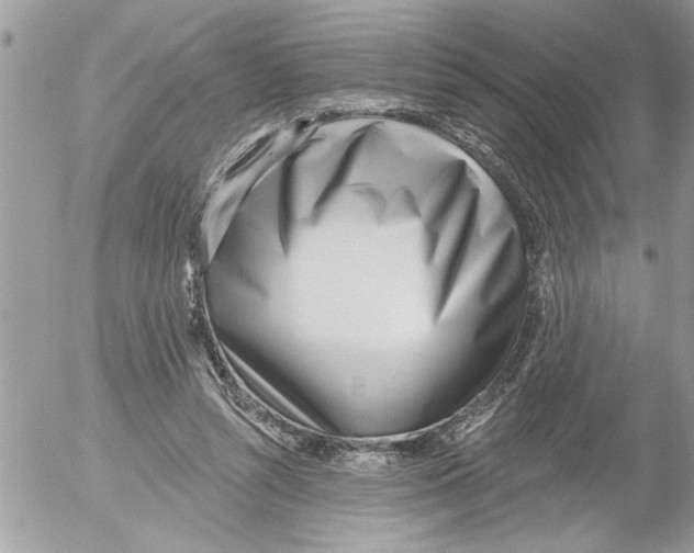 X0000052540352200507291856