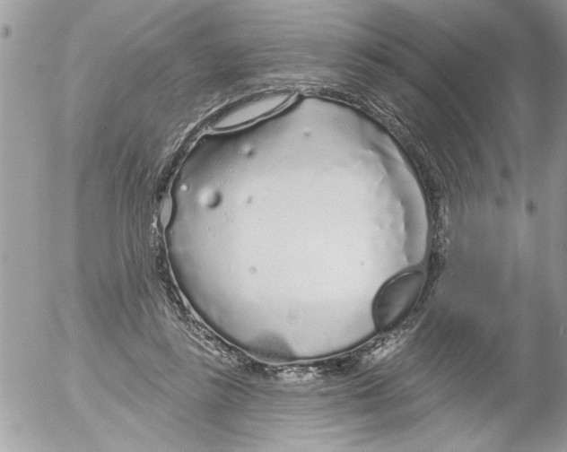 X0000052540355200507291856