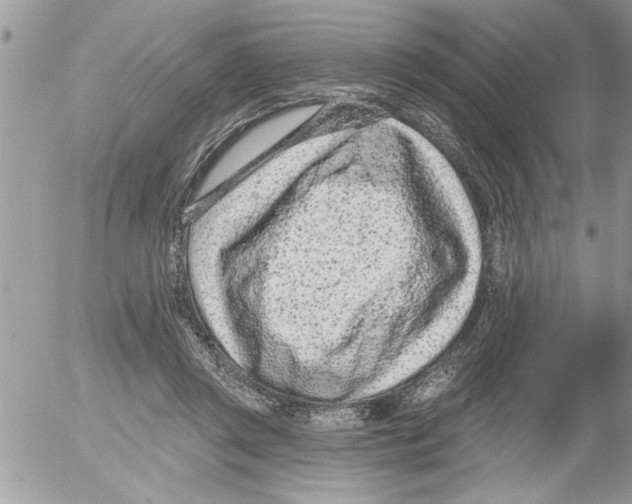 X0000052540357200507291856