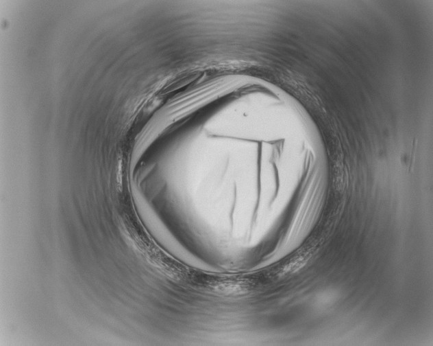 X0000052540358200507291856