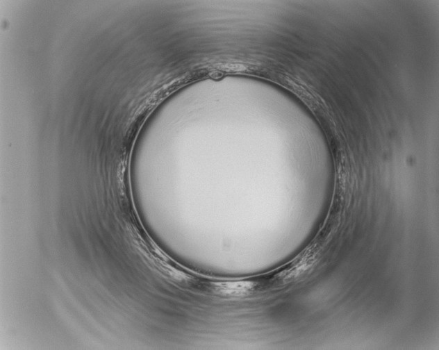 X0000052540359200507291856