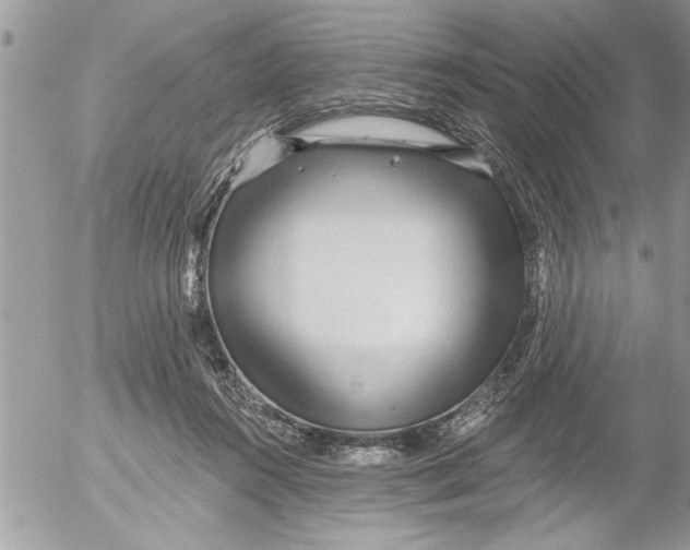 X0000052540360200507291856