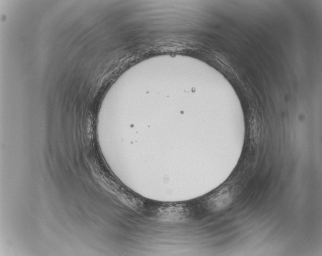 X0000052540362200507291856