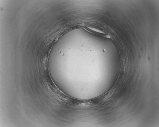 X0000052540364200507291856