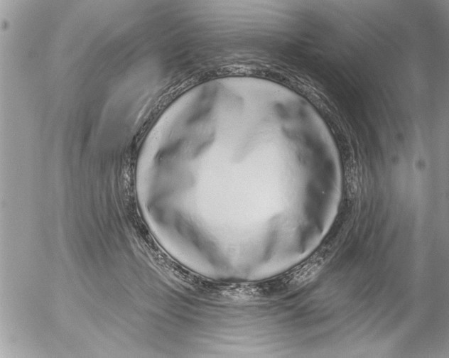 X0000052540365200507291856