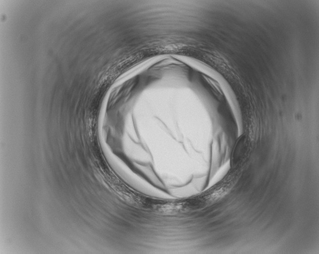 X0000052540366200507291856