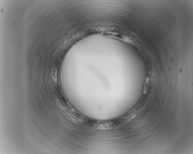 X0000052540368200507291856