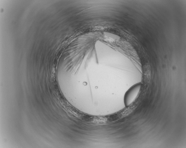 X0000052540369200507291856