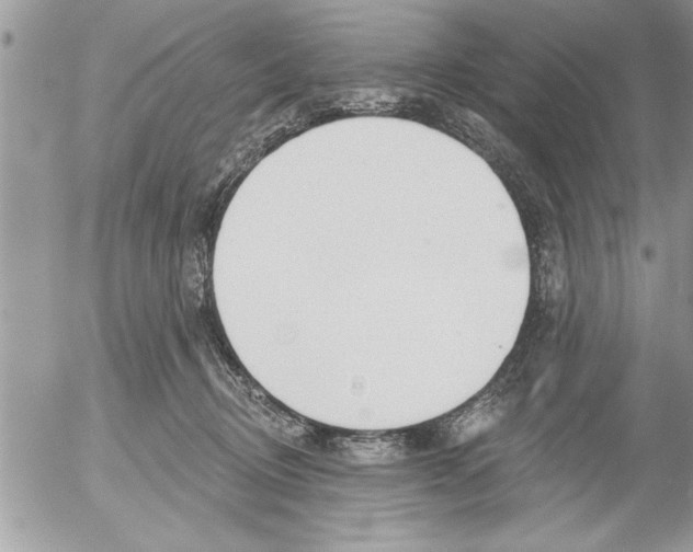 X0000052540370200507291856