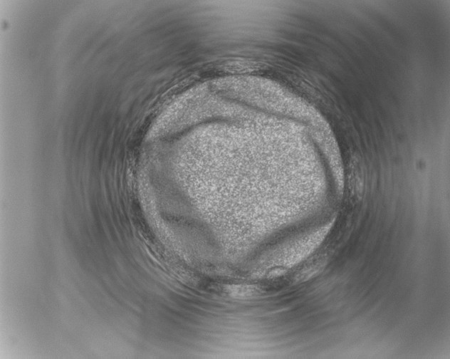 X0000052540371200507291856