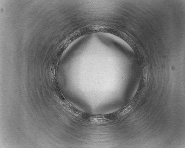 X0000052540372200507291856