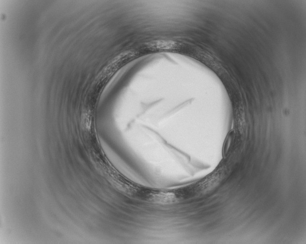 X0000052540374200507291856