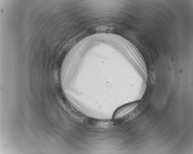 X0000052540375200507291856