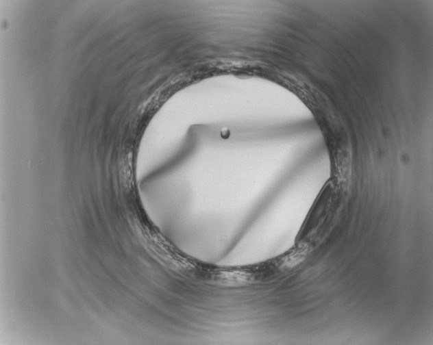 X0000052540376200507291856