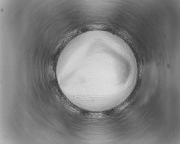 X0000052540377200507291856