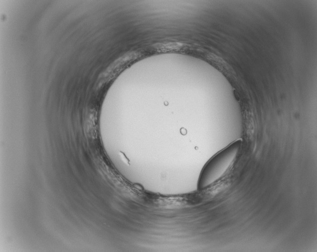 X0000052540378200507291856