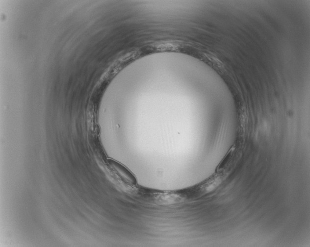 X0000052540379200507291856