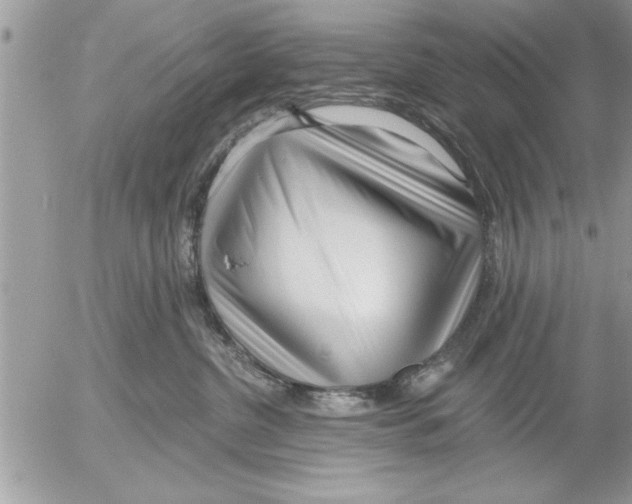 X0000052540380200507291856