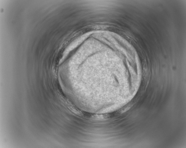 X0000052540381200507291856