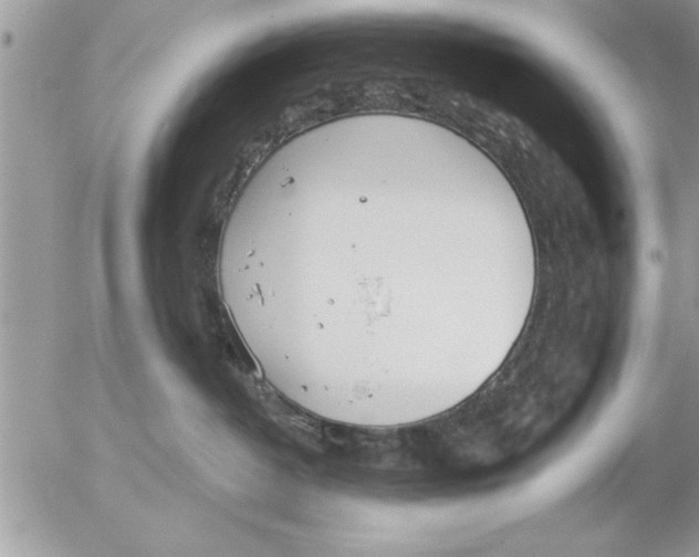 X0000052540382200507291856