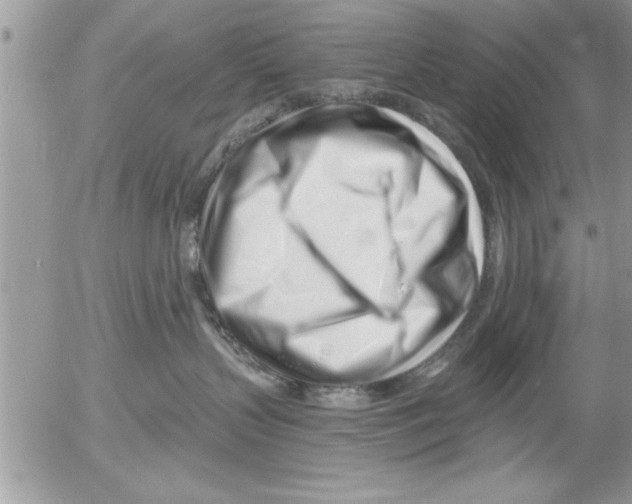 X0000052540383200507291856