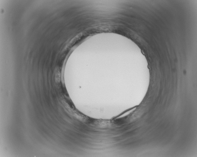 X0000052540384200507291856