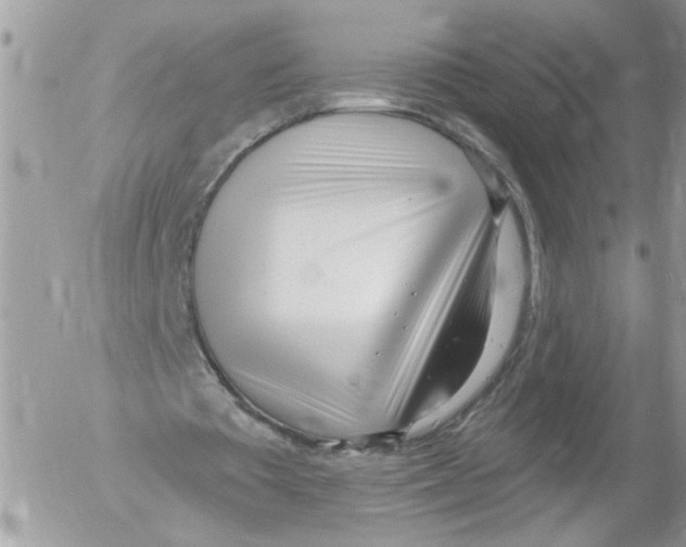 X0000052540385200507291856