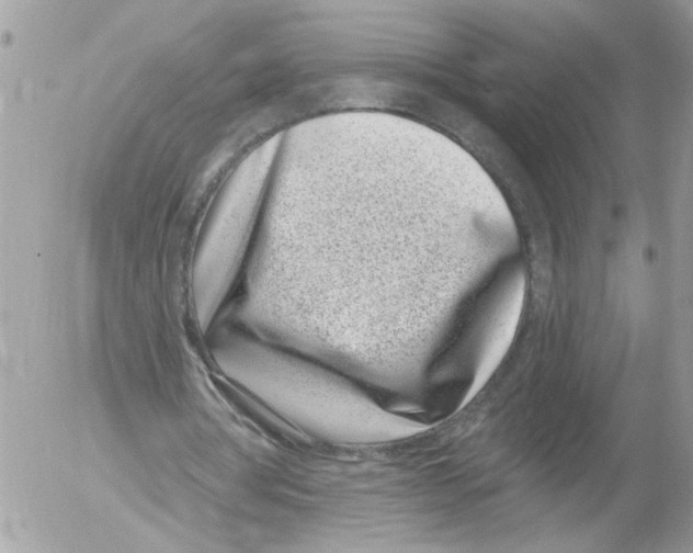 X0000052540386200507291856