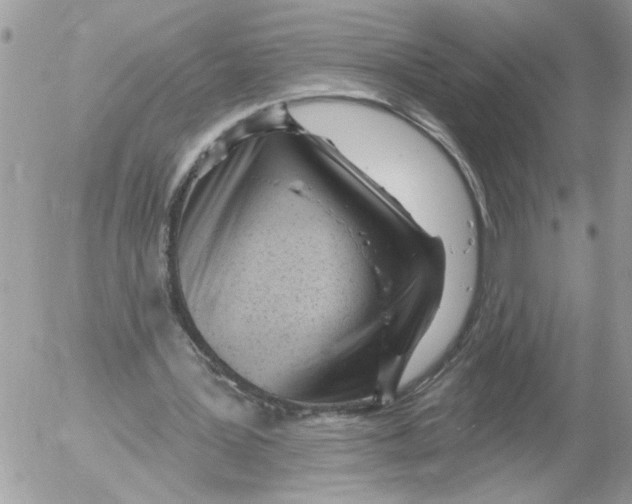 X0000052540387200507291856