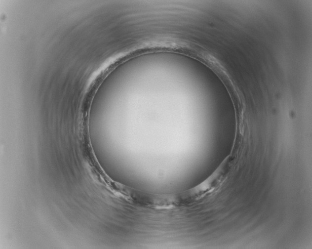 X0000052540388200507291856