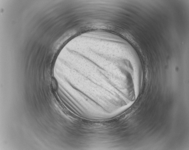 X0000052540390200507291856