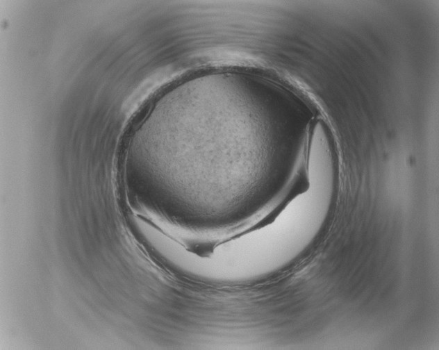 X0000052540391200507291856