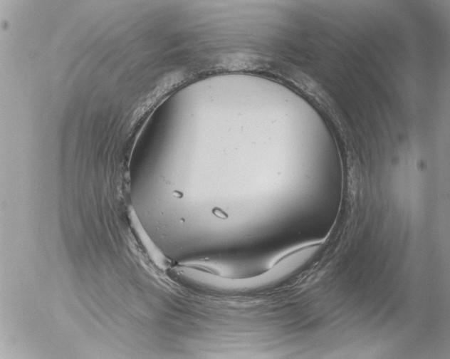 X0000052540393200507291856