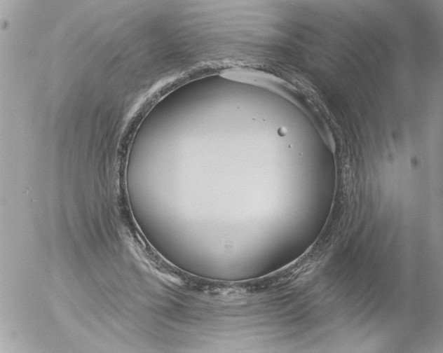 X0000052540395200507291856