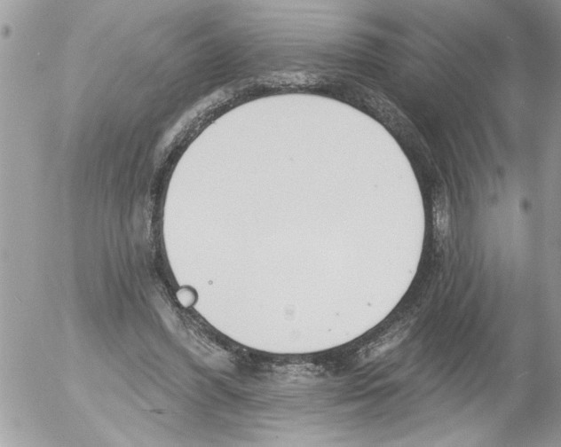 X0000052540396200507291855