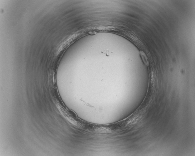 X0000052540397200507291855