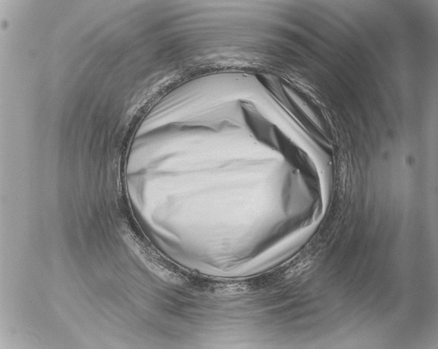 X0000052540398200507291855