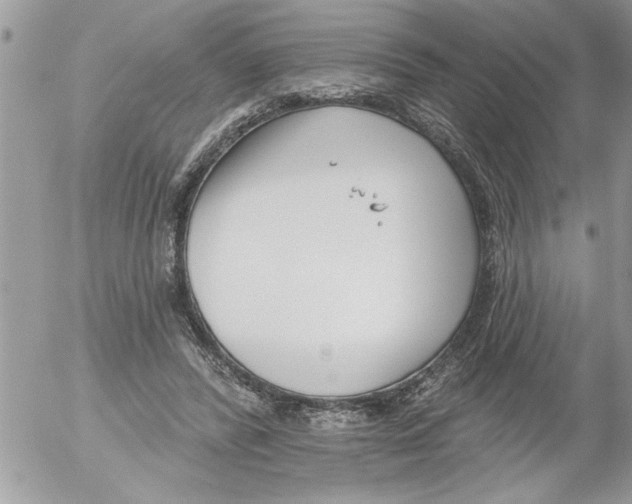 X0000052540400200507291855