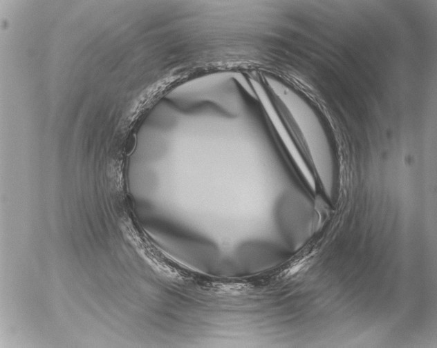 X0000052540401200507291855