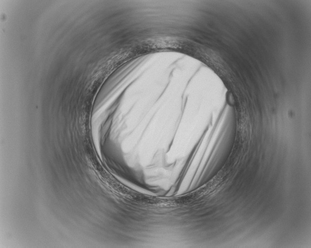 X0000052540402200507291855