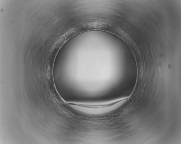 X0000052540403200507291855