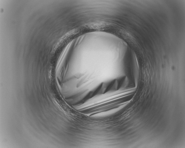 X0000052540404200507291855